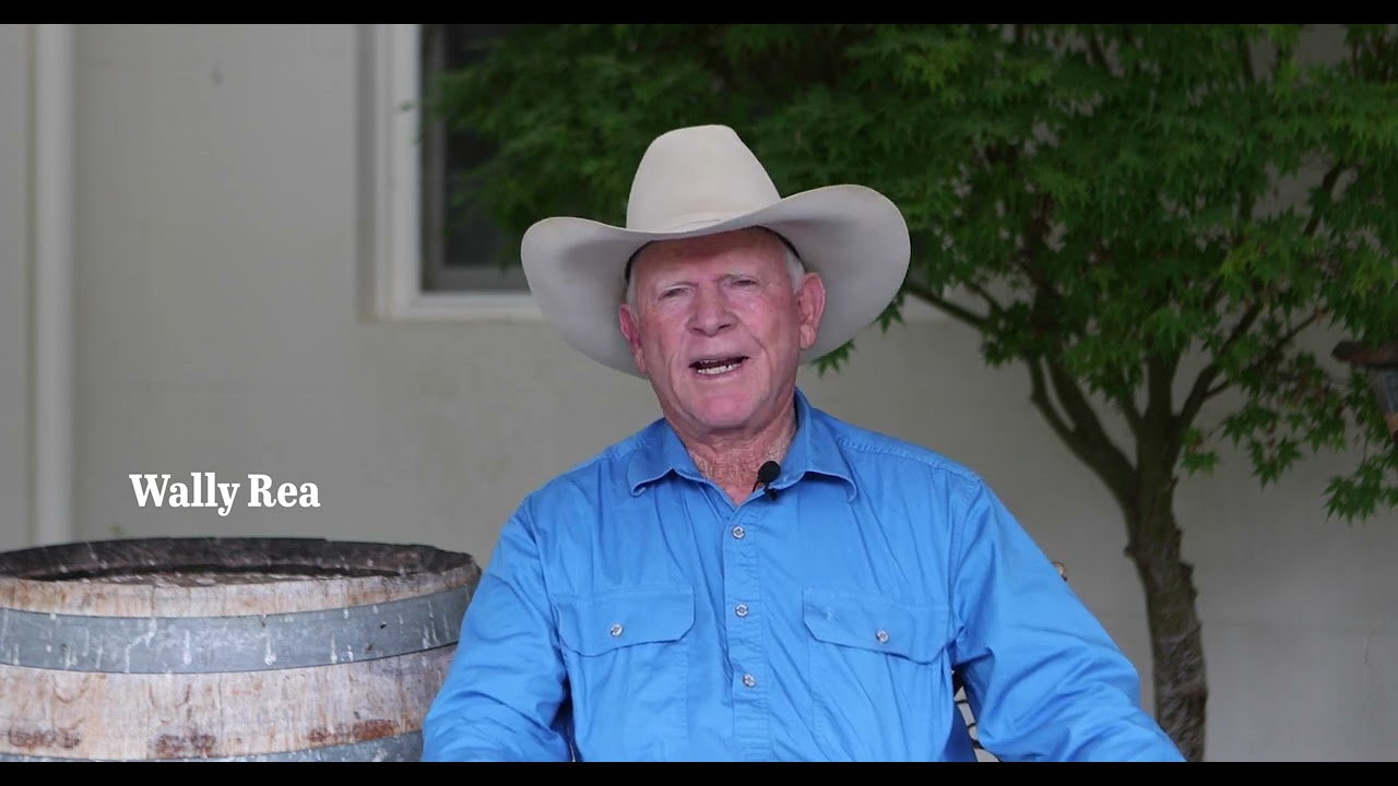 Campdraft Livestock Preparation with Wally Rea