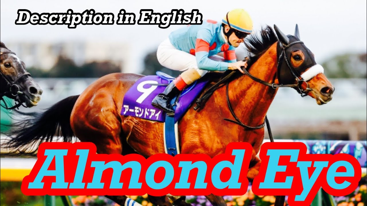 The strongest mare - Almond Eye（アーモンドアイ）,