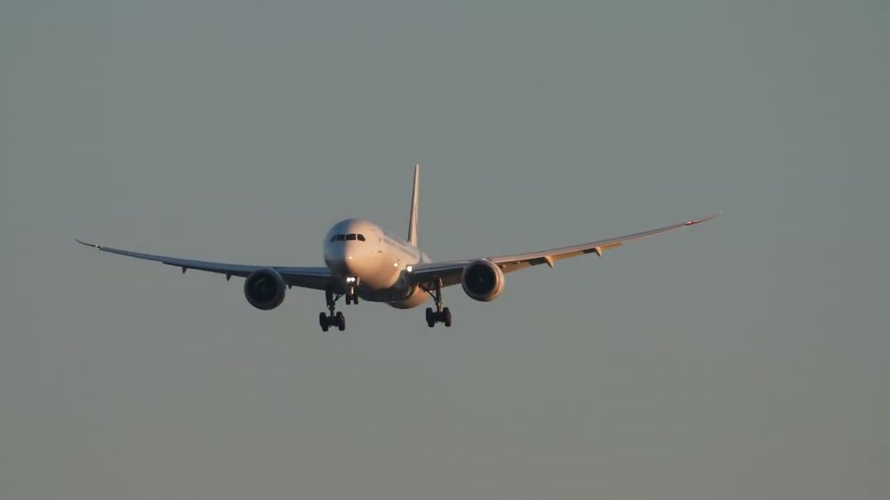 #planespotting#narita Airport Japan rw34L arrival/departures