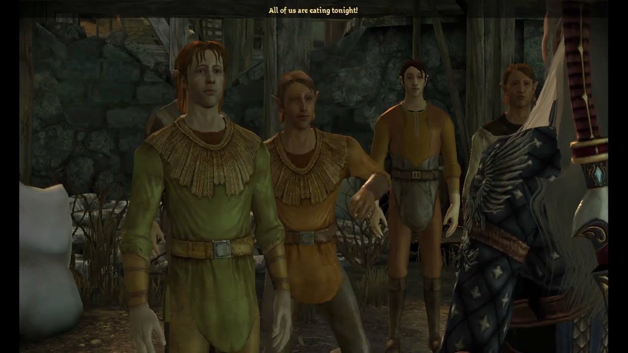 this is still the funniest interaction in Dragon Age Origins