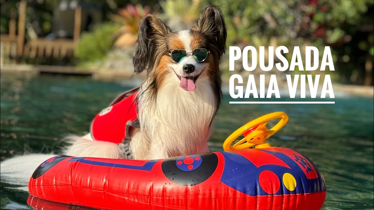 Pousada Gaia Viva