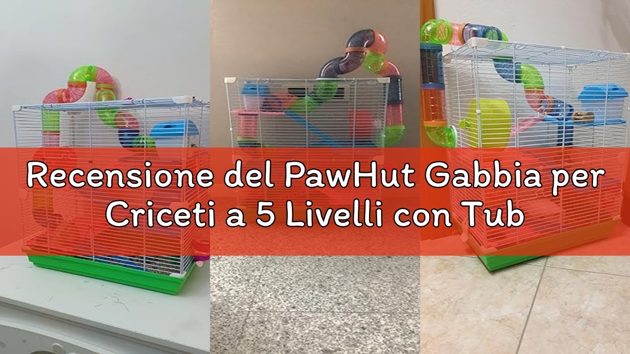 Recensione del PawHut Gabbia per Criceti a 5 Livelli con Tubi, Ruota, Casetta, Scale e Bottiglia, Ga