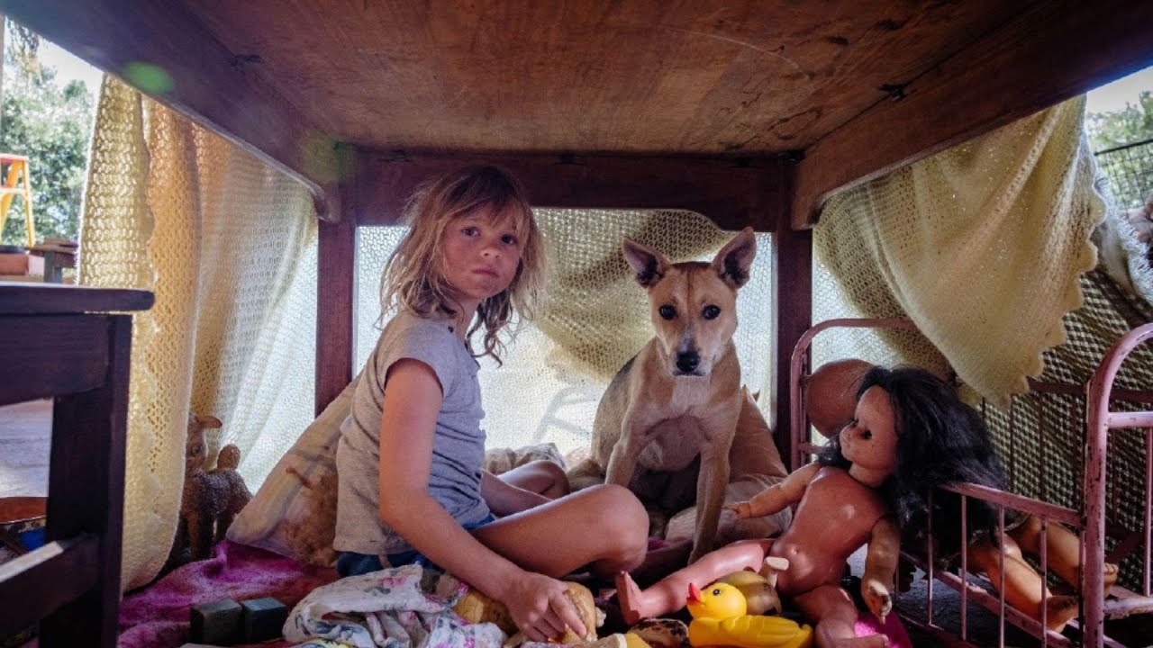 Don't Let's Go To The Dogs Tonight - Official Trailer - Only In Cinemas October 3
