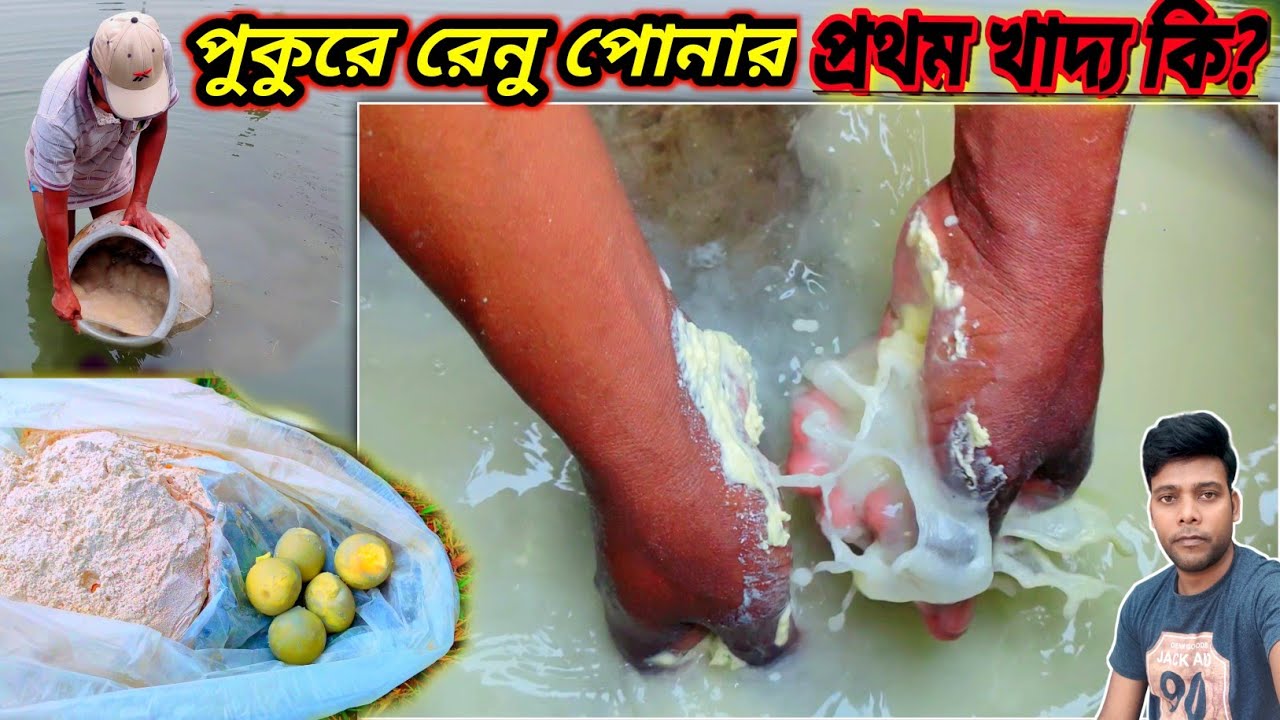 ডিম পোনা /রেনু পোনা মাছকে প্রথম ৫ দিন কি খাবার দেবেন? Renu Pona fish food for the first 5 days -2023