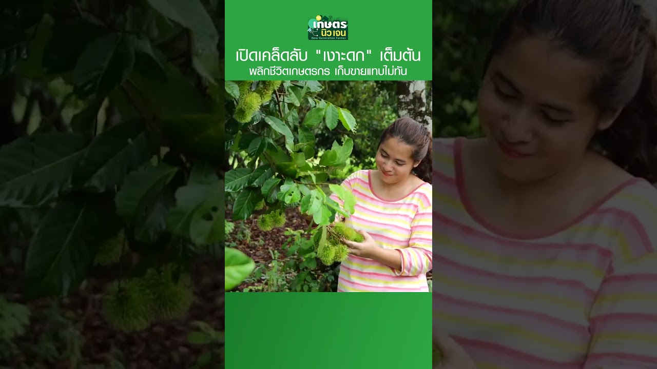 เปิดเคล็ดลับ 