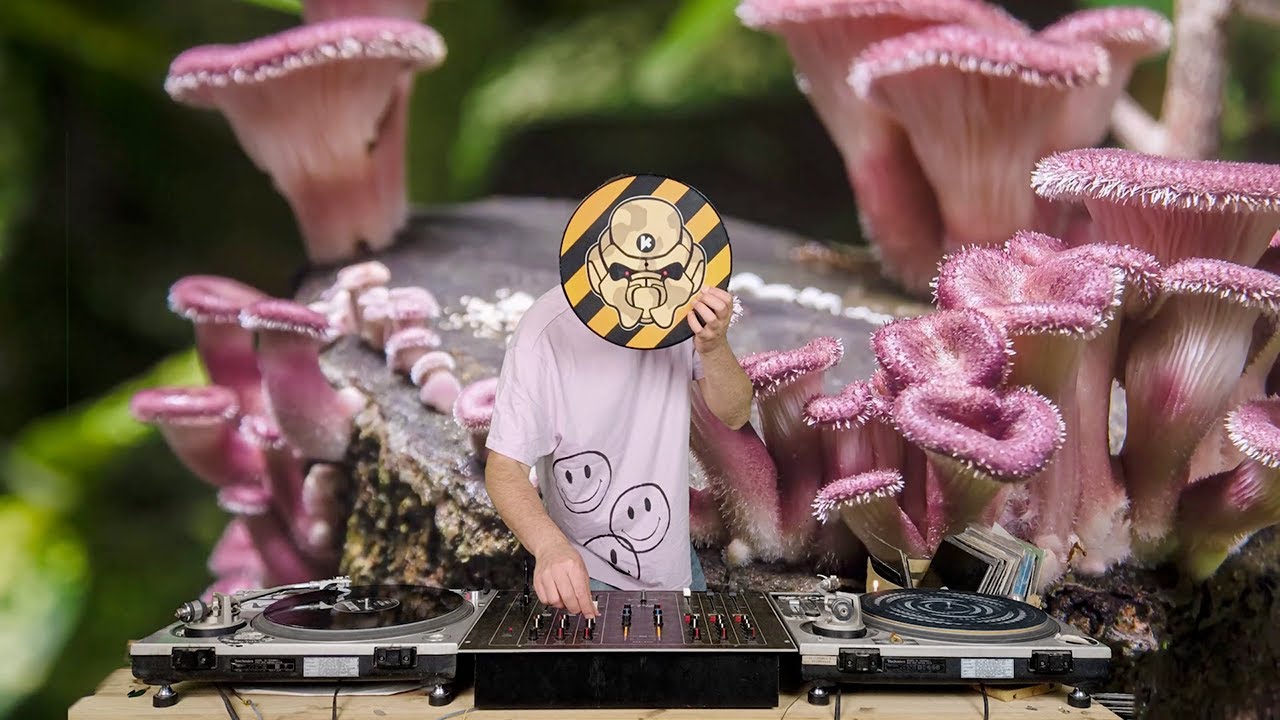 Jaquarius - Dj Set - Acid Techno Oldschool - Woody McBride Like