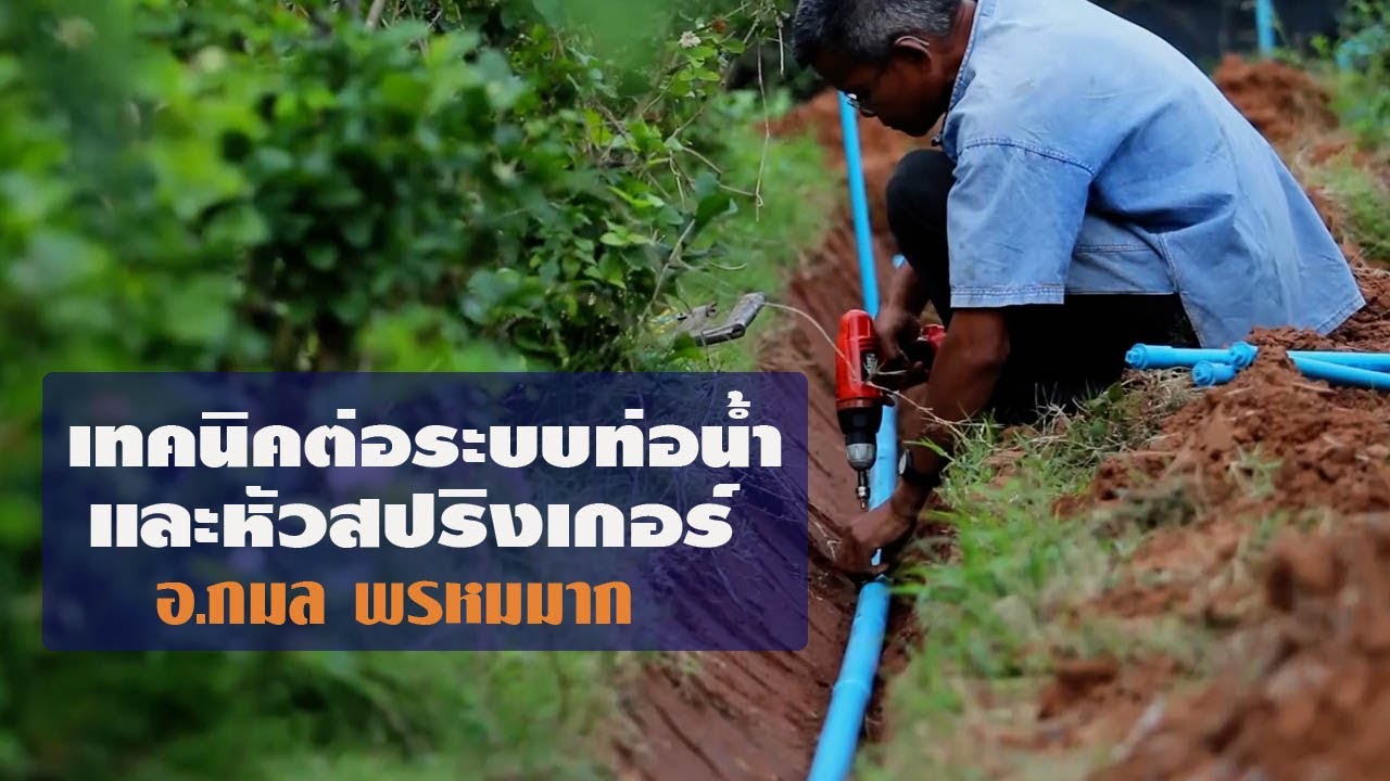 เทคนิคต่อระบบท่อน้ำ-หัวสปริงเกอร์ อ.กมล พรหมมาก//สามอาชีพฯ