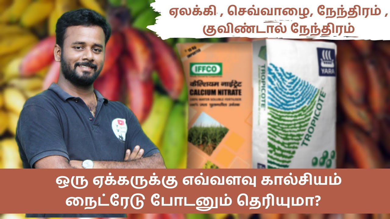 calcium in banana -வாழை பயிருக்கு ஏக்கருக்கு எவ்வளவு கால்சியம் நைட்ரேடு போடனும்?