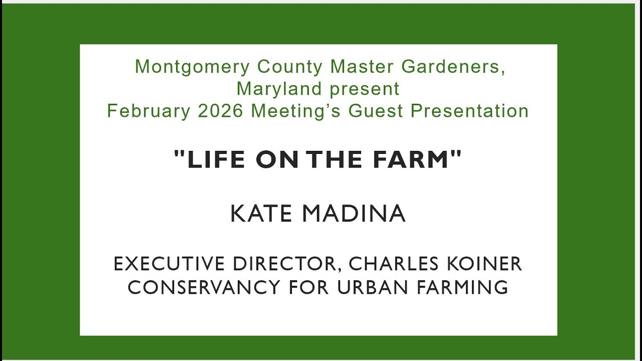 2026 February Meeting Announcements & Presentation