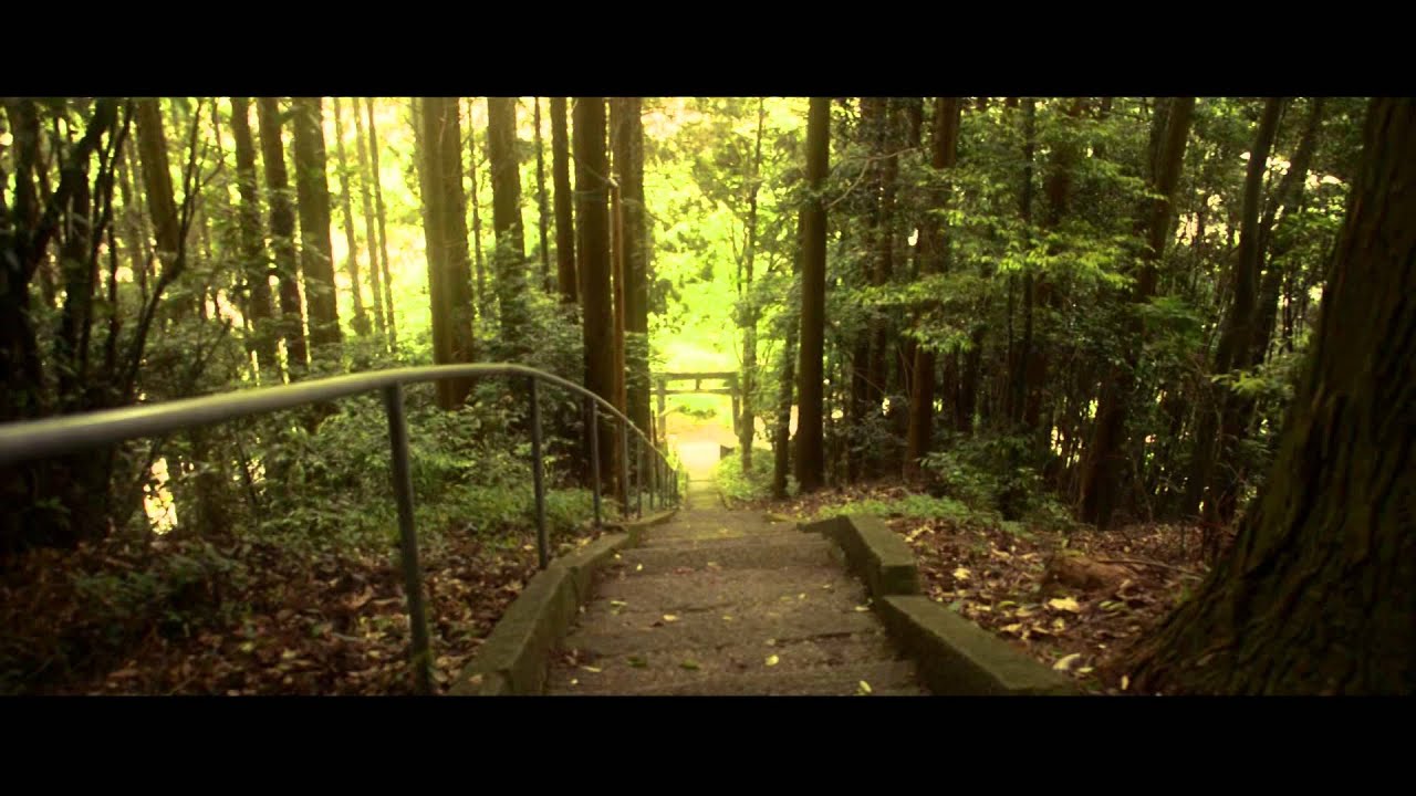 そうだ神社に行こう！#04 雨宮神社 Let's go to the shrine. #04 the Amamiya Shrine(japan kumamoto)