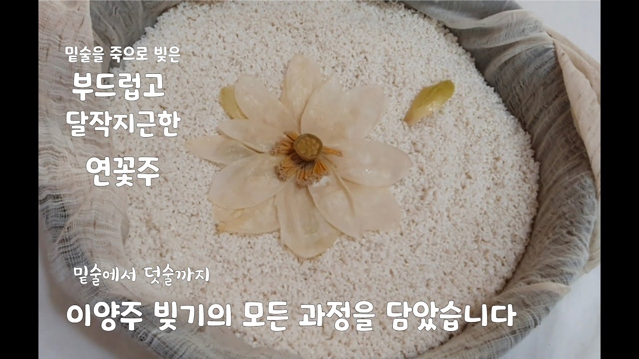 우리술빚기-3/두 번 빚은 이양주/향기로운 이양주 연화주 빚는 법/
