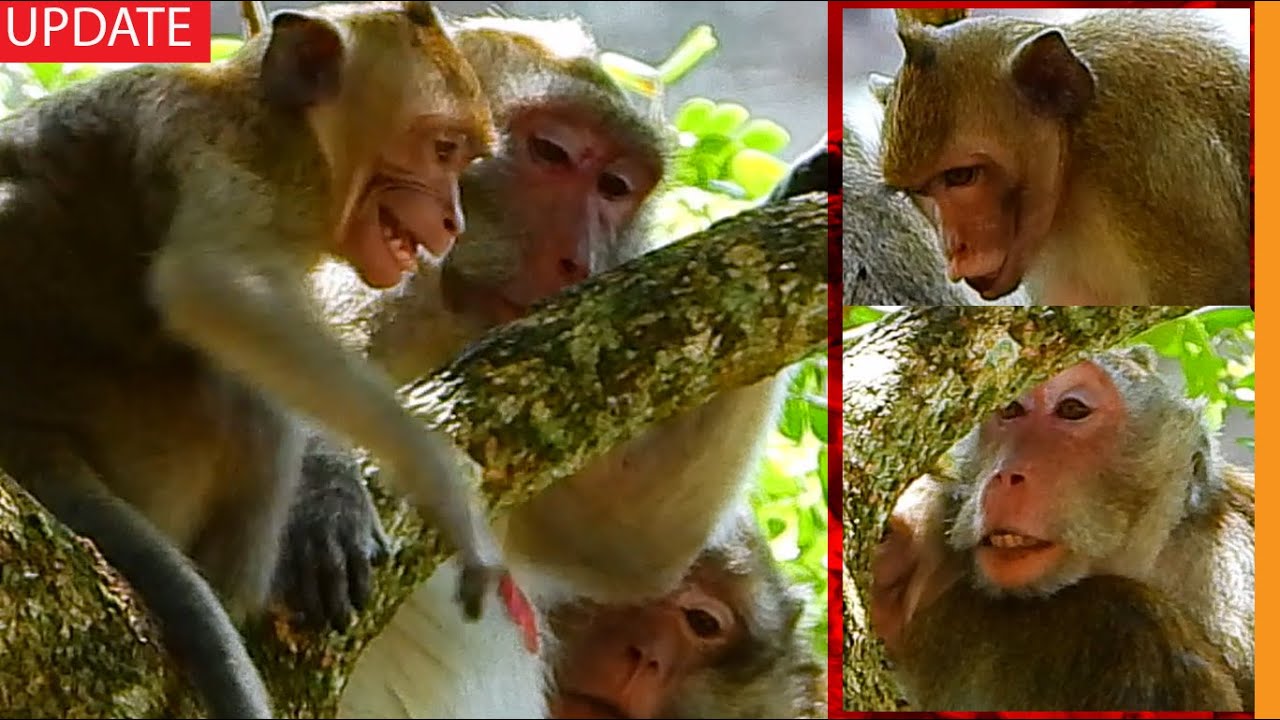 Jane No Informed Weaning Janna Making Her So Sick