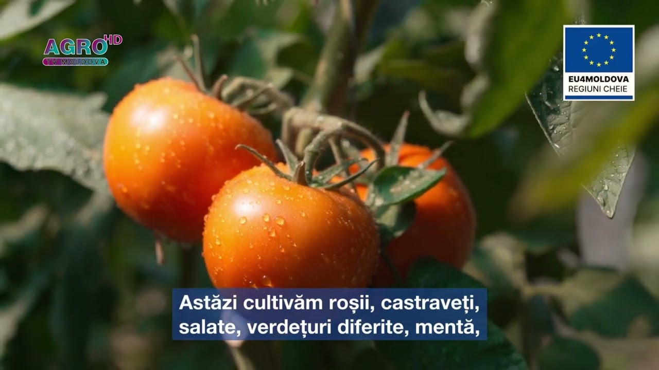 Istoria de succes a lui Victor Voina din satul Roșu – AGRO TV News