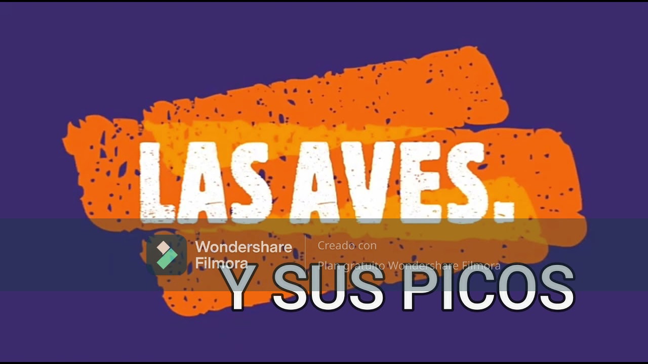 LA ALIMENTACI&Oacute;N DE LAS AVES Y SUS PICOS - CIENCIAS NATURALES