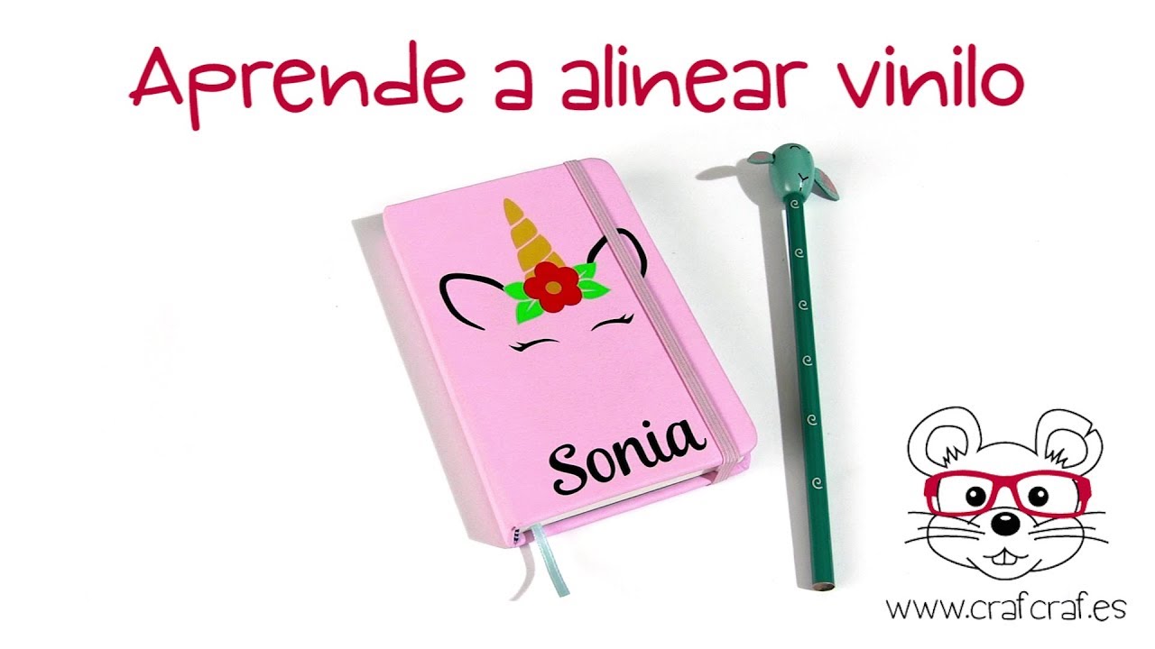 Aprende a alinear vinilo