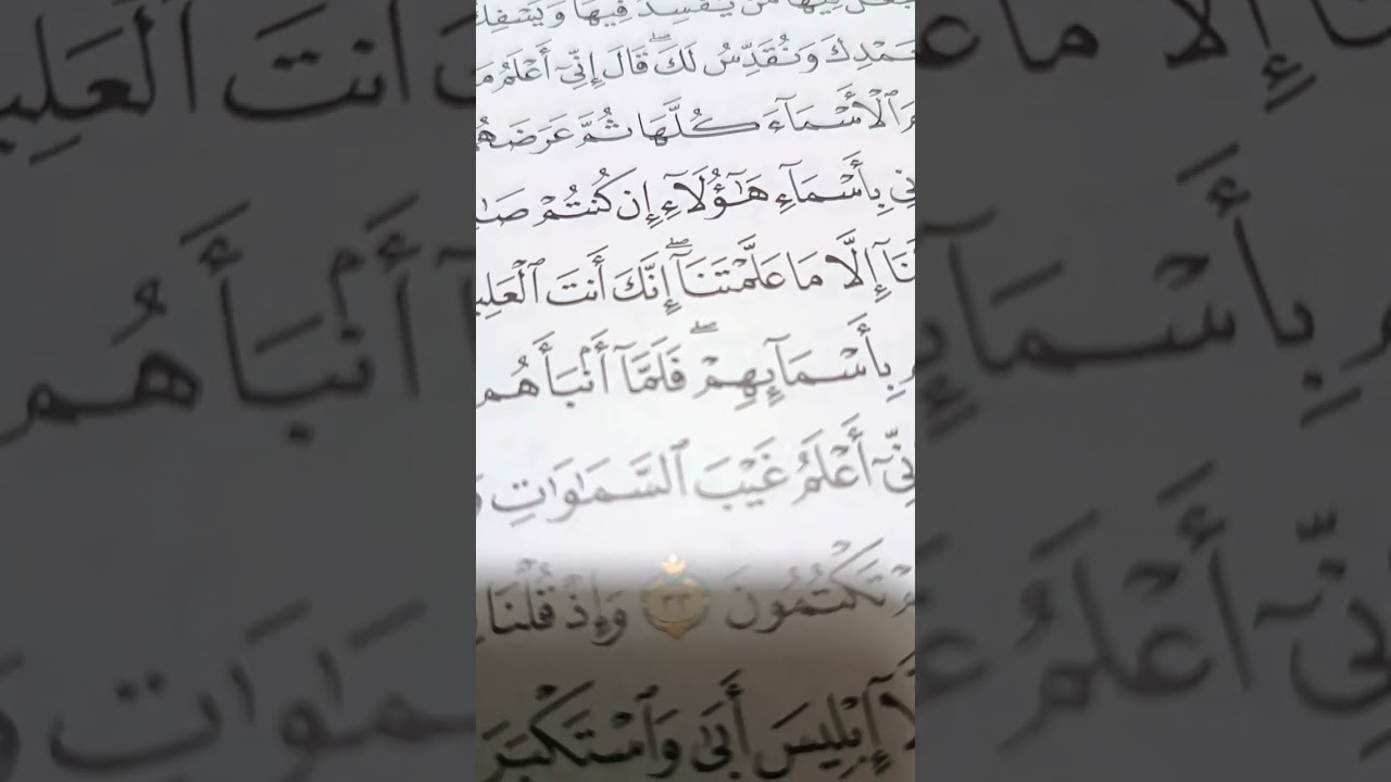 تصحيح أداء الآيات   من سورة البقرة وأحكام التلاوة الآيات 31/32