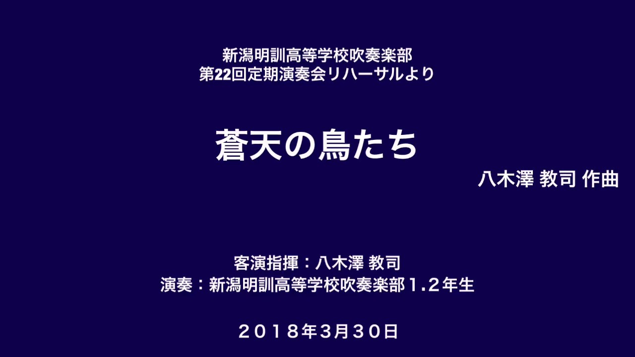 ■ Birds in the Azure Sky / Satoshi Yagisawa