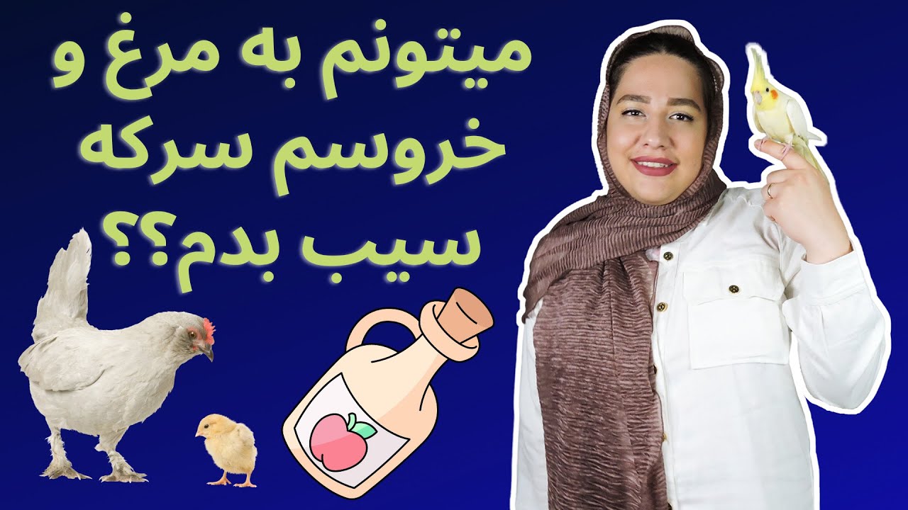 فواید سرکه سیب و سرکه سیب مناسب طیور | میتونم به مرغ و خروس و جوجه هام سرکه سیب بدم؟؟