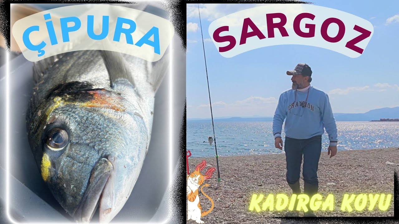 MUTLULUK VE HÜZÜN BİRARADA / Kadırga Koyunda Dev Çupra ve Sargoz Avı #fishing #seabream #sargos
