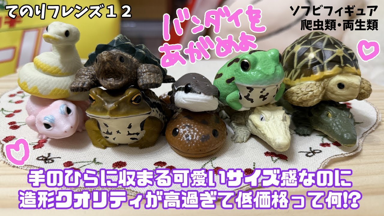 爬虫類両生類好き必見！【てのりフレンズ12】を開封、(ほぼ)全種ご紹介！