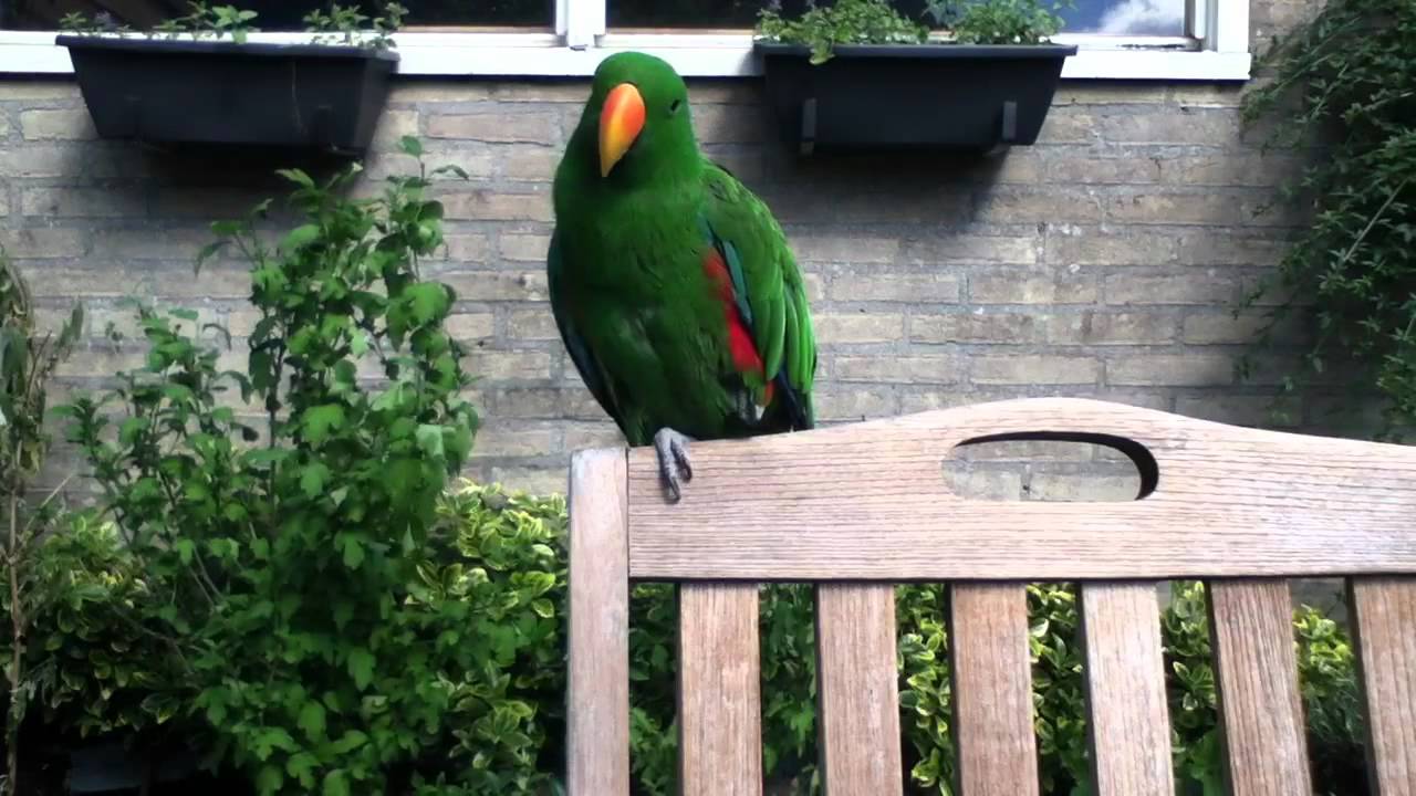 Sammy aan het praten
