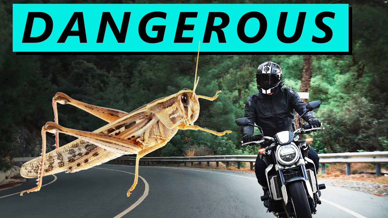 5 Things NO ONE TELLS YOU about Motorcycles