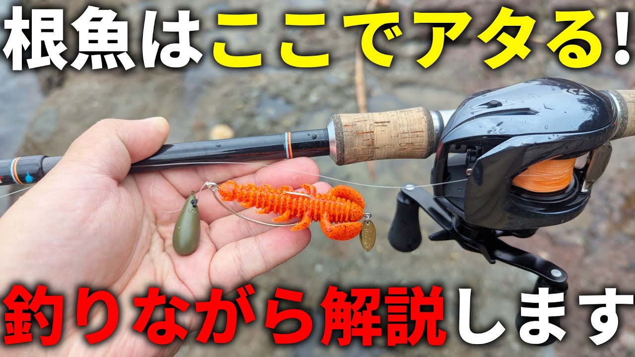 【実釣解説】こういう瞬間、ロックフィッシュは喰って来ます！根魚釣りの狙い所を釣りながら解説！