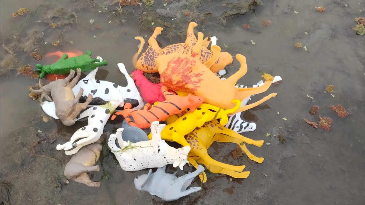 🌊 Pani mein beh rahe hain wild animals! | Catching Plastic Toys from River | Baby Toys 🦁🐘