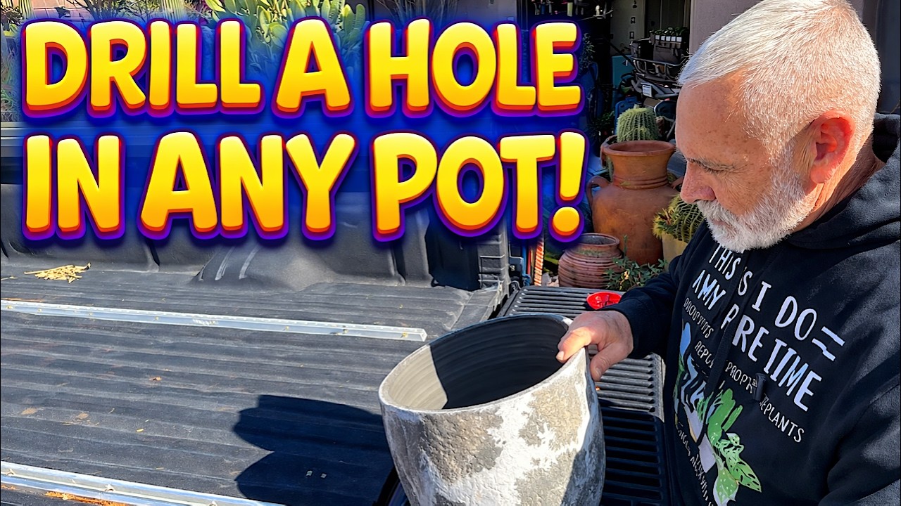 You Can Drill a Hole in ANY Pot! + Planting in the yard!   🌿