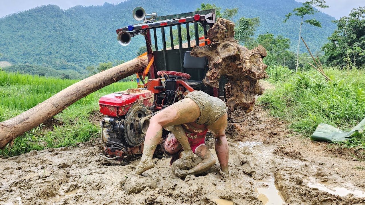 Agricultural vehicles transporting timber, transporting large logs