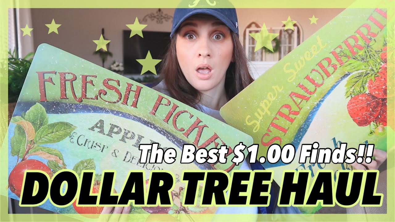 DOLLAR TREE HAUL **SHOCKING $1.00 FINDS** ITEMS TO NOT PASS UP ON