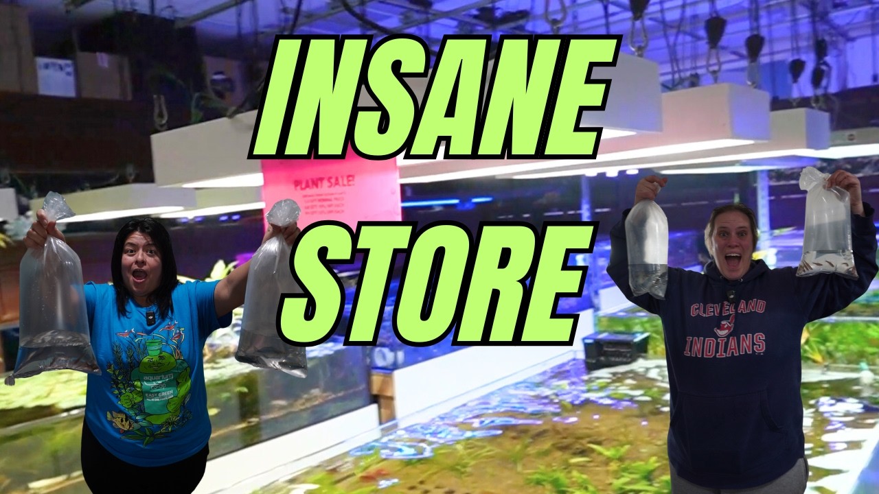 This Chicago Fish Store Blew Our Minds