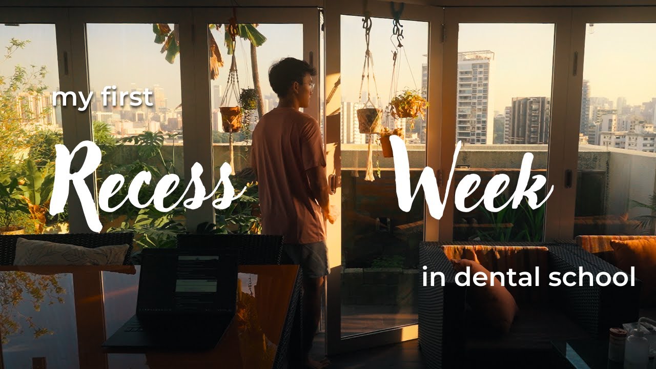 Living alone for a week |  NUS Dentistry 🦷🪥 D1S1 Recess Week
