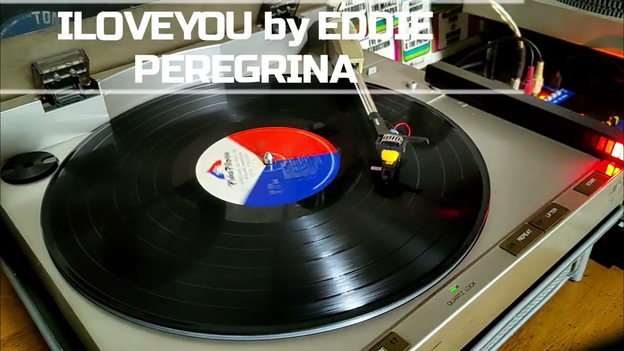 ILOVEYOU by EDDIE PEREGRINA NO INFRINGEMENT INTENT JUST VINYL LOVER