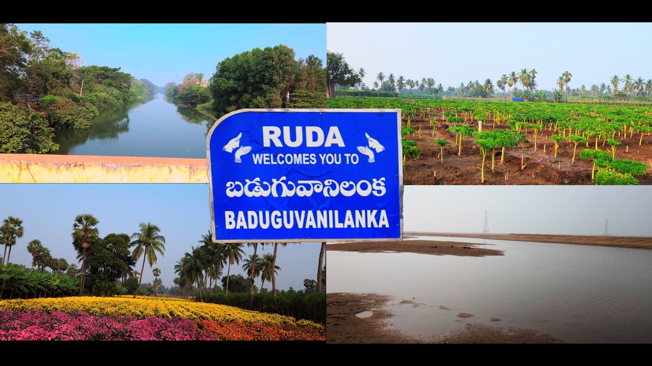 Ede Maa Palleturu 'Baduguvanilanka' Village|ఇదే మా పల్లెటూరు 'బడుగువానిలంక' గ్రామం #villagelife