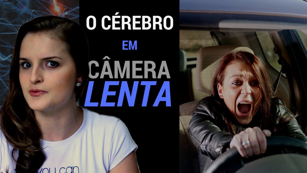 O ANO PASSOU VOANDO POR QU&Ecirc;? | Fran te Explica