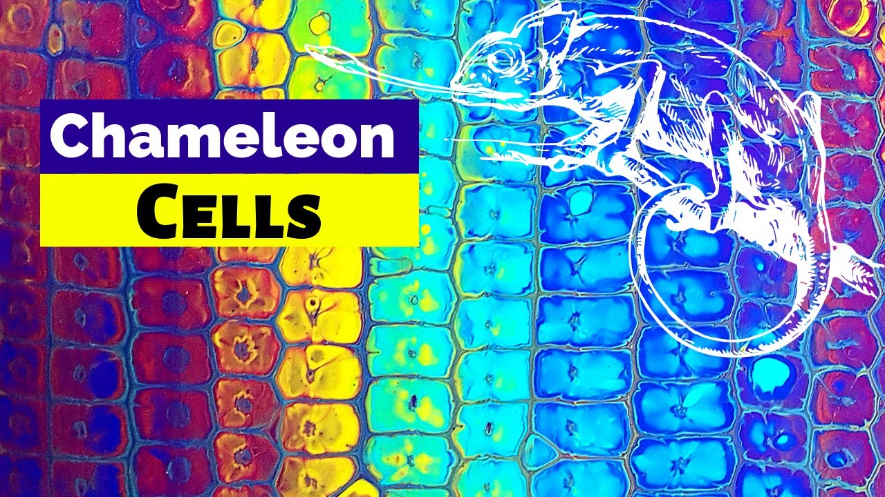 Chameleon Cells Technique - 😱DID IT WORK??!! Acrylic Pour Painting for Beginners