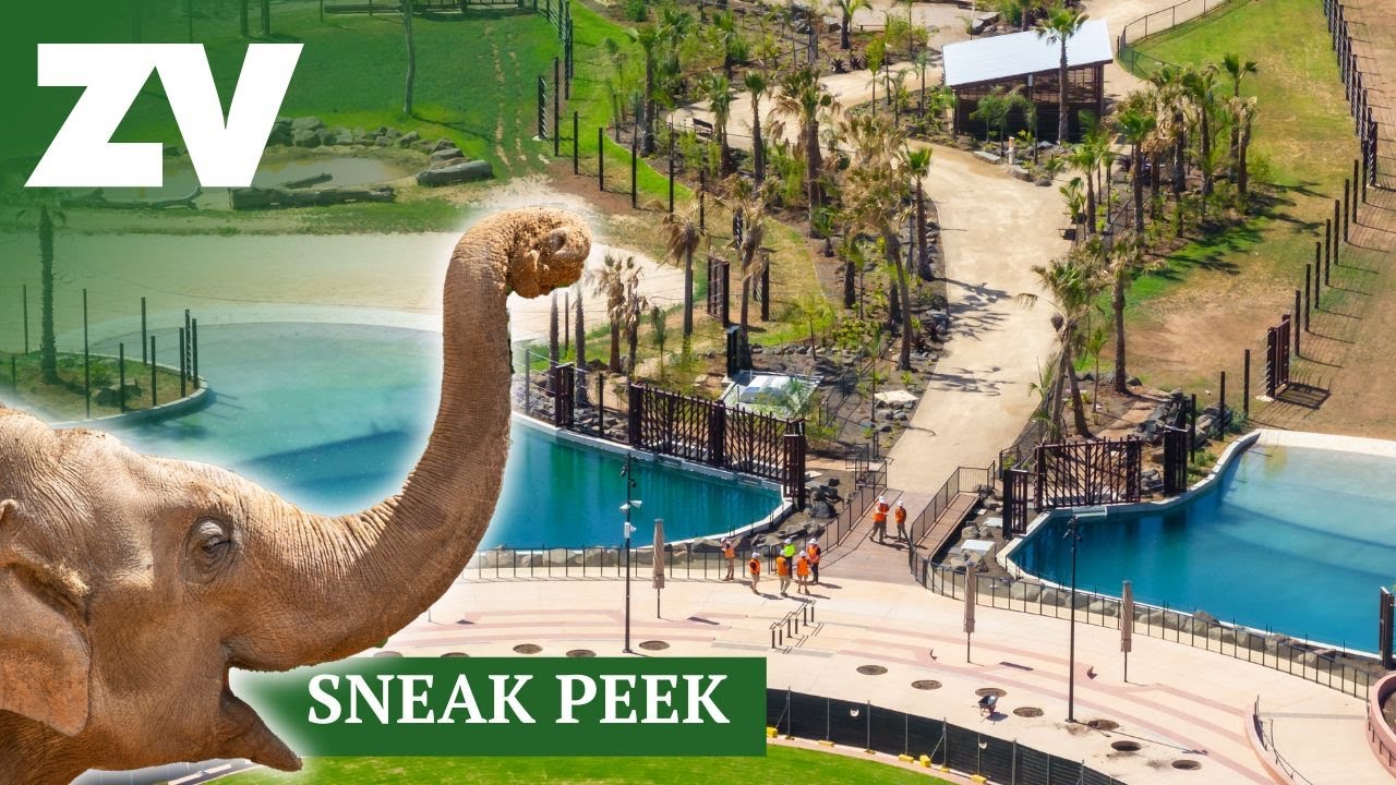 First Look: New Elephant Habitat at Werribee Open Range Zoo! 🐘✨
