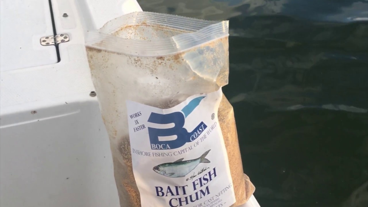 How to Locate & Catch Pilchards with a Cast Net