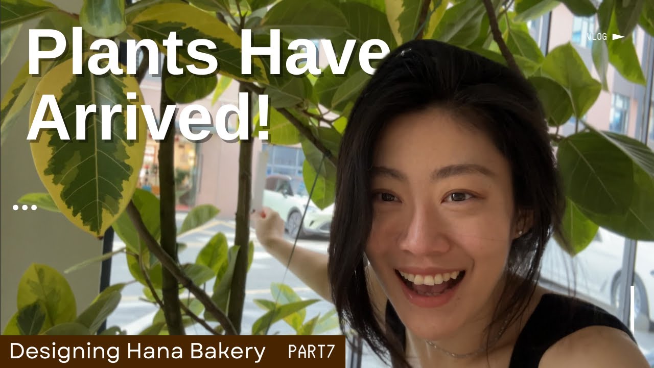 Vlog | Plant and Furniture Install at Hana Bakery