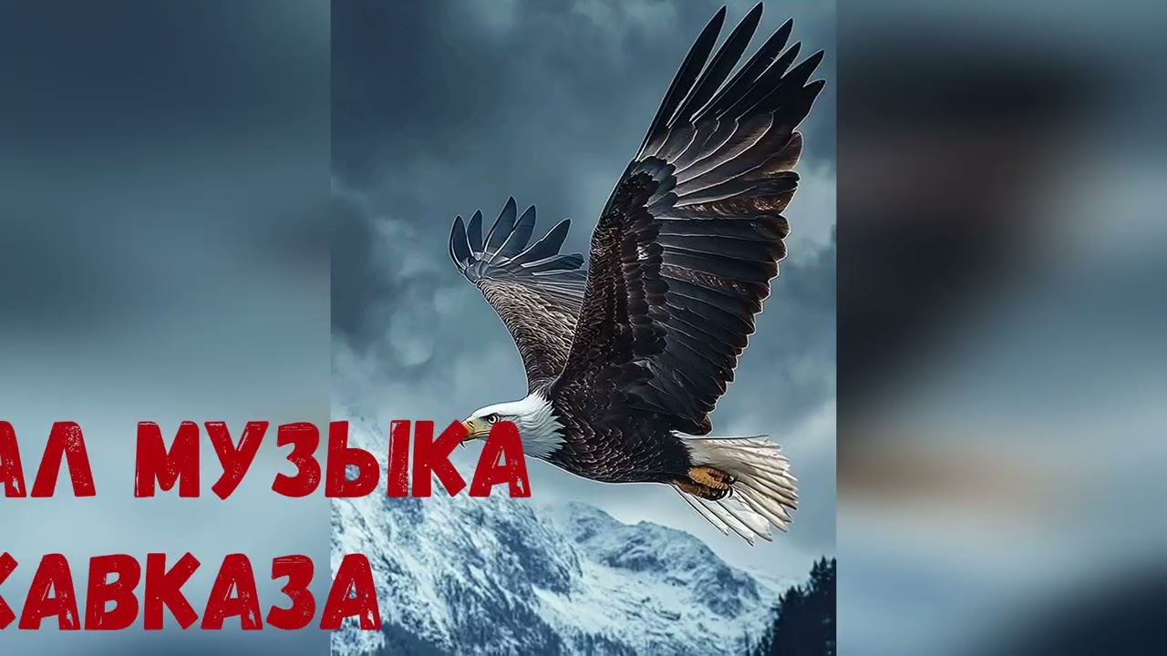 Рустам Абреков - Зажигательная Лезгинка для Али Османова NEW💥