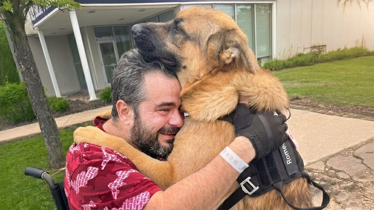 Animals Finally Reunite With Their Owners After Years Apart ❤️ The Most Priceless Moments