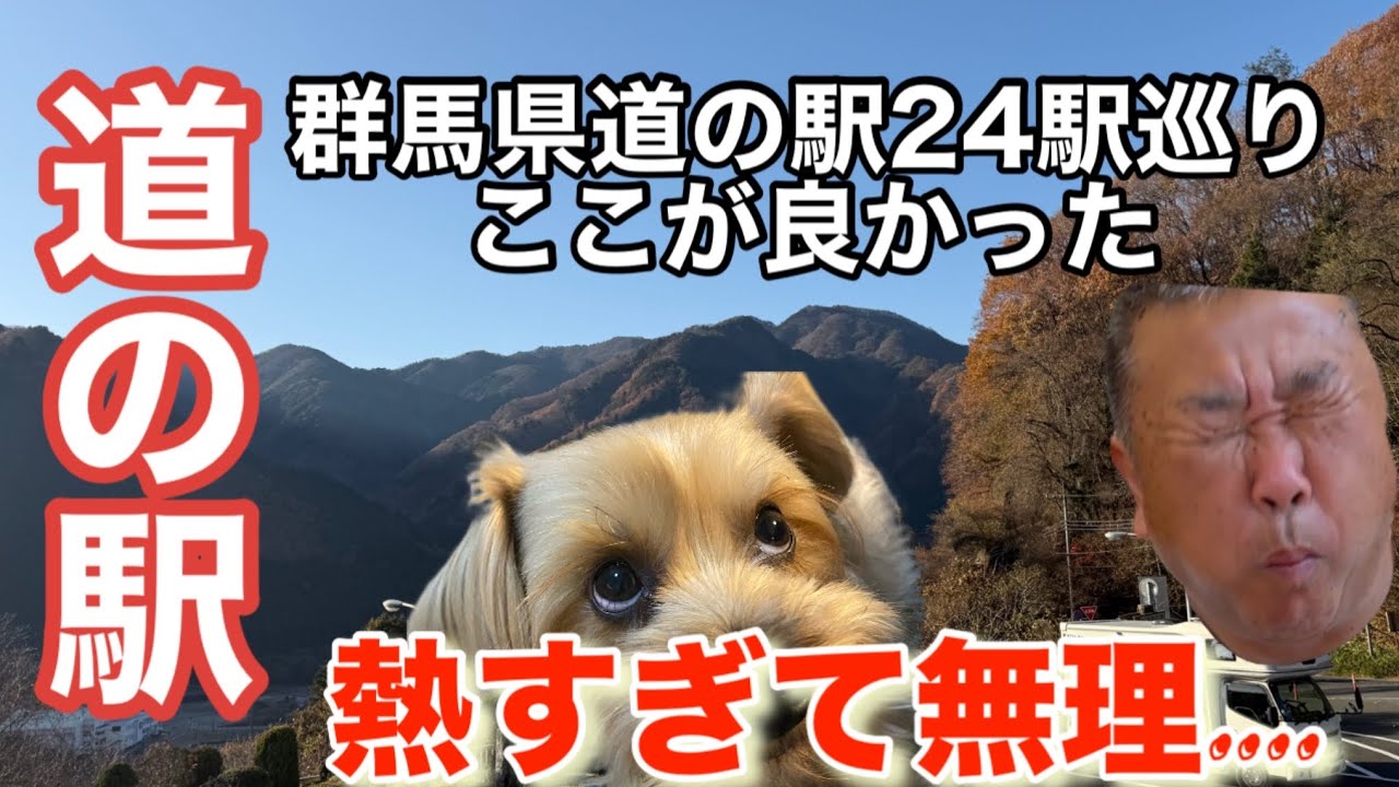 【道の駅】熱すぎて入れない温泉　れおと行く草津温泉と群馬道の駅24駅の旅
