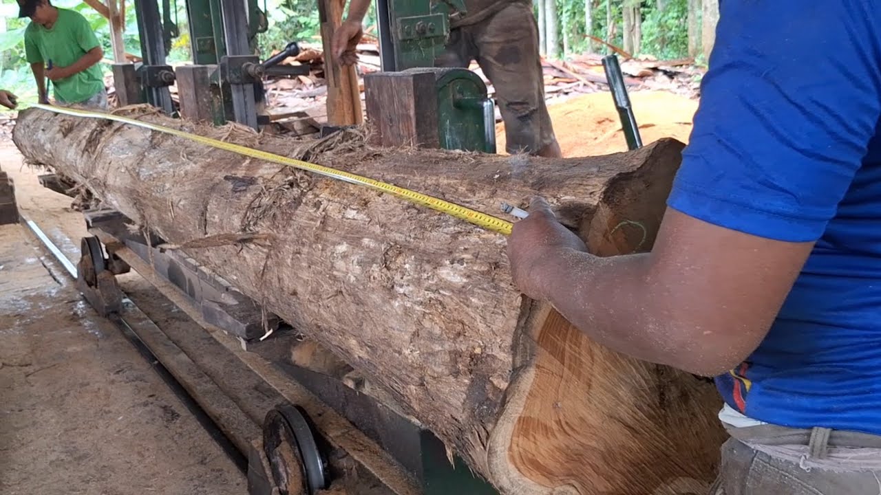 Long teak logs for house beams