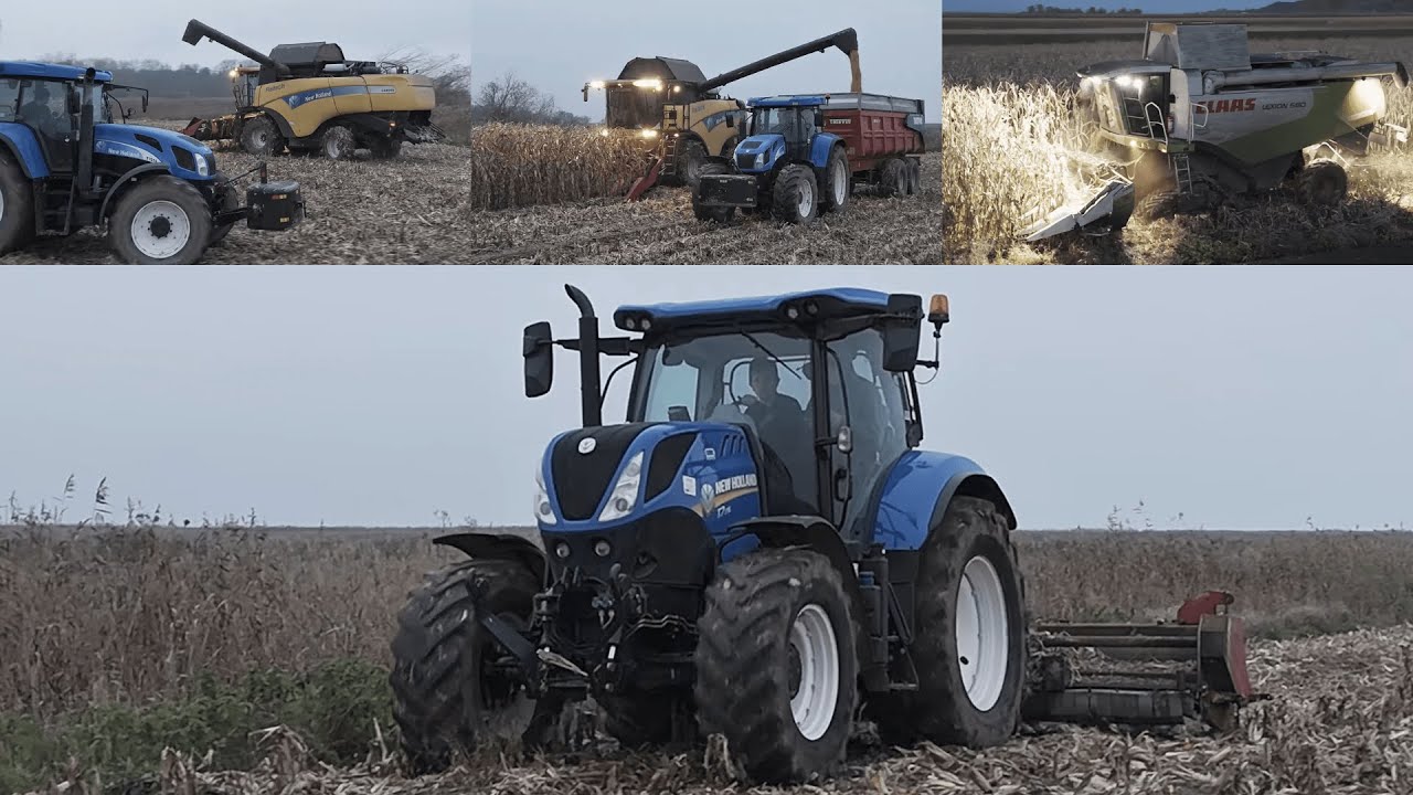 Ciężki zbiór kukurydzy na ziarno || New Holland, Case, Claas