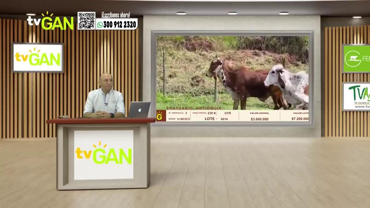 TU VITRINA GANADERA EN VIVO 19/01/2026
