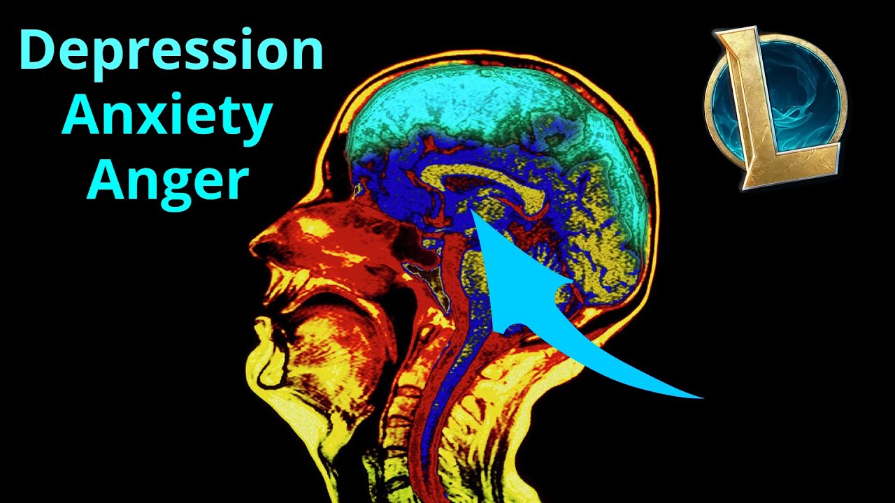 How League of Legends Affects Your Emotional Circuitry