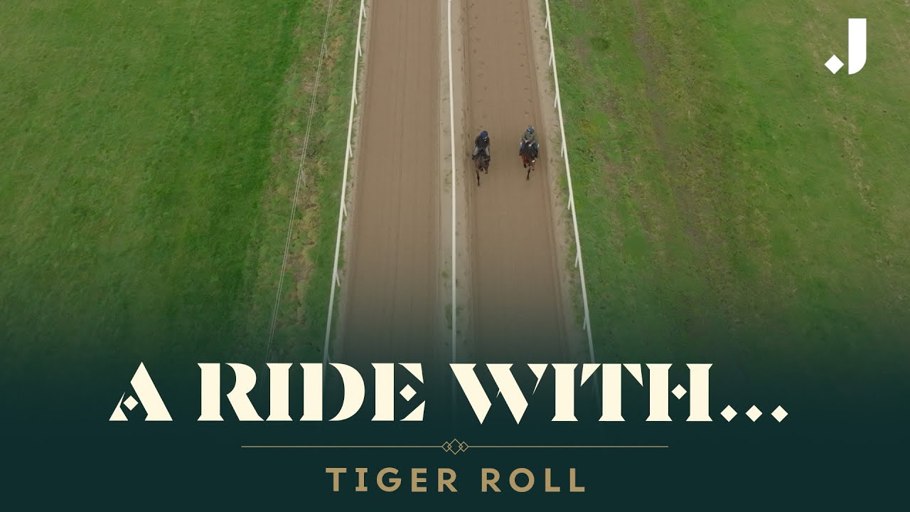 ПОЕЗДКА С TIGER ROLL: ДВУКРАТНЫЙ ПОБЕДИТЕЛЬ GRAND NATIONAL