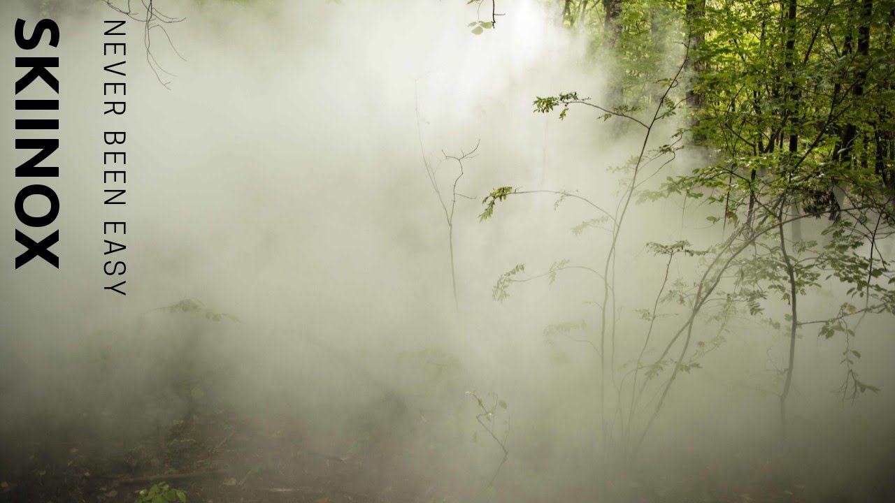 Never Been Easy(SKiiNoX Remix)