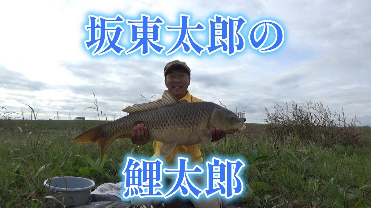 渡辺武の一緒に♥鯉釣りしませんか？～坂東太郎の鯉太郎の巻き～
